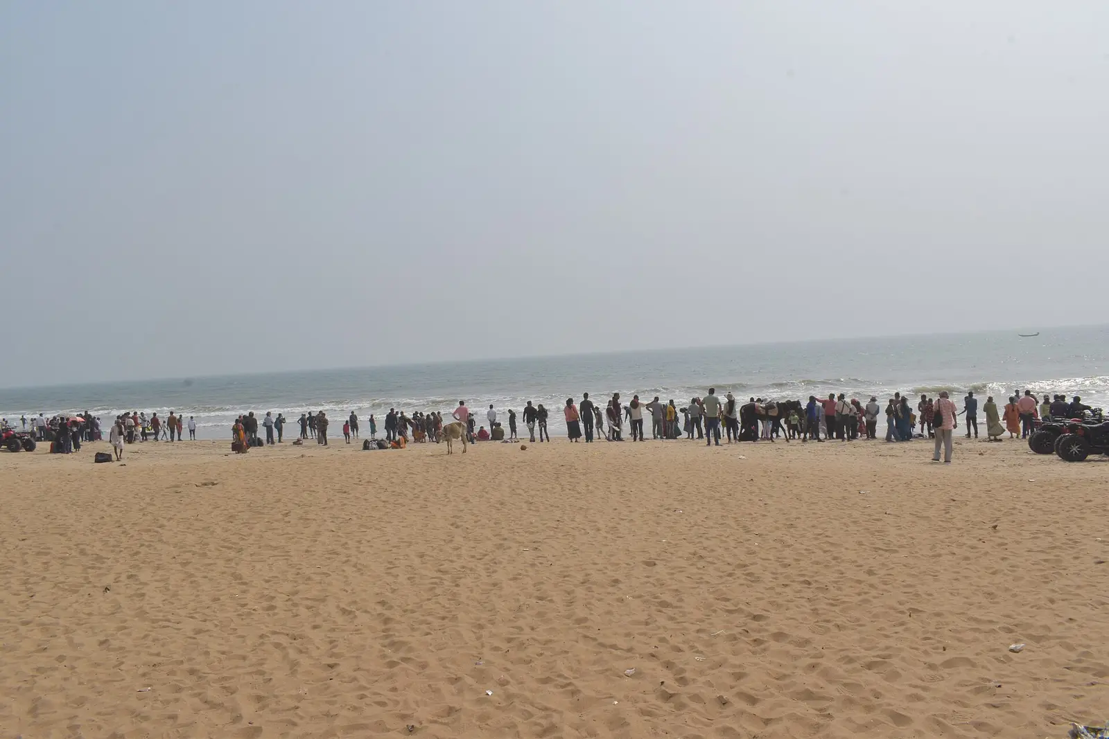 Crowd along the wide sand of Chandrabhaga Beach near Konark