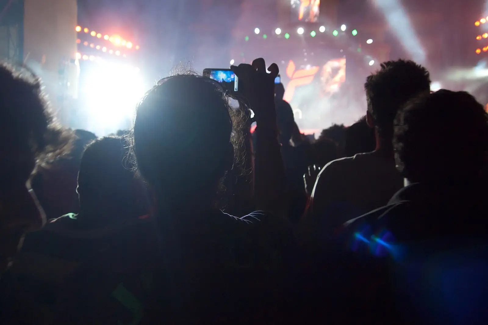 Crowd facing a lit stage at Sunburn Festival in Goa