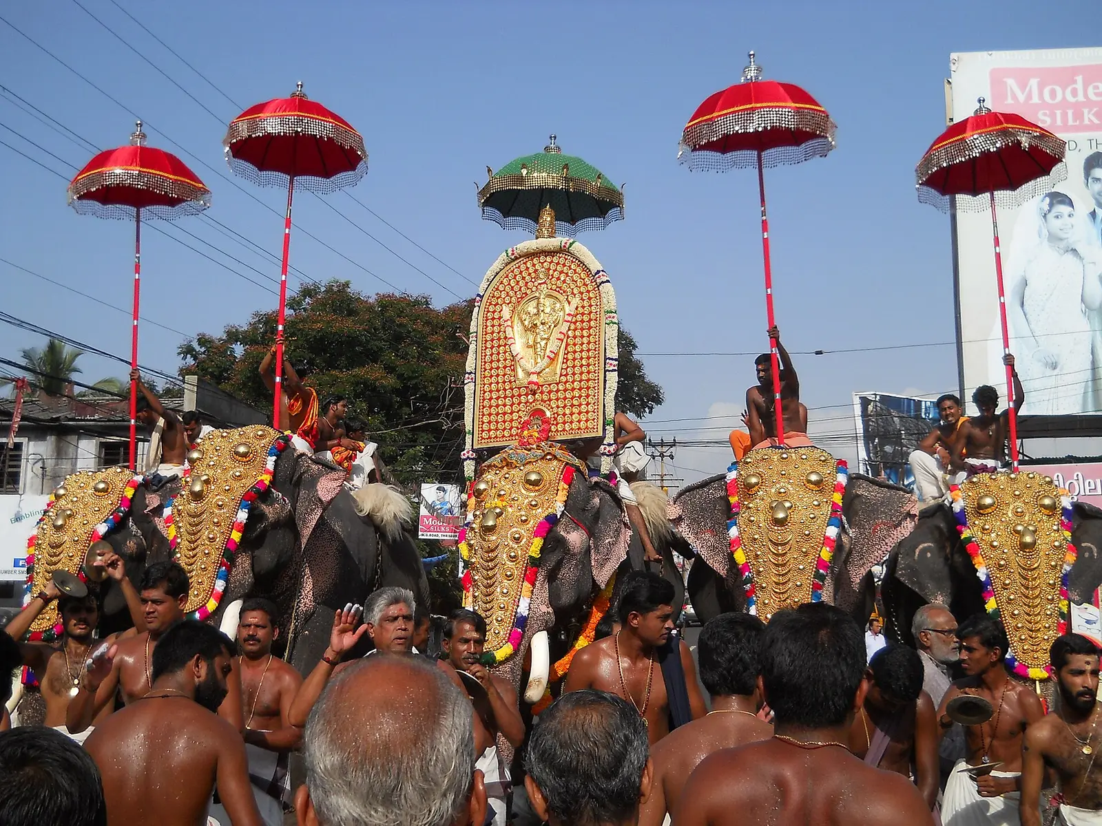 Caparisoned elephants with gold nettipattam and parasols among a crowd at Thrissur Pooram